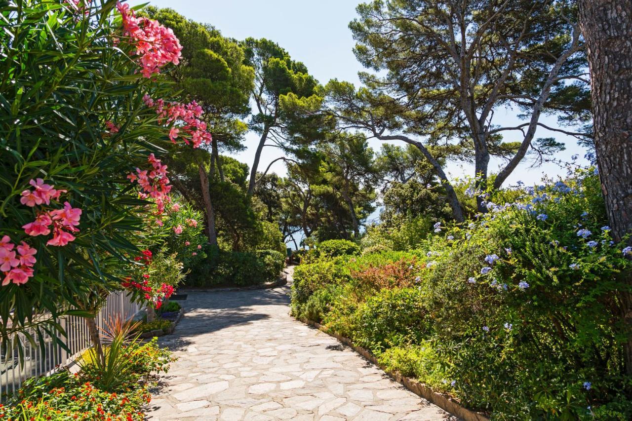 Parc Et Residence Le Provencal Йер Экстерьер фото